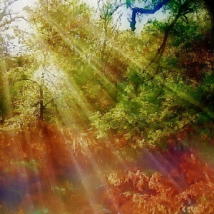 Прокофьев Утро